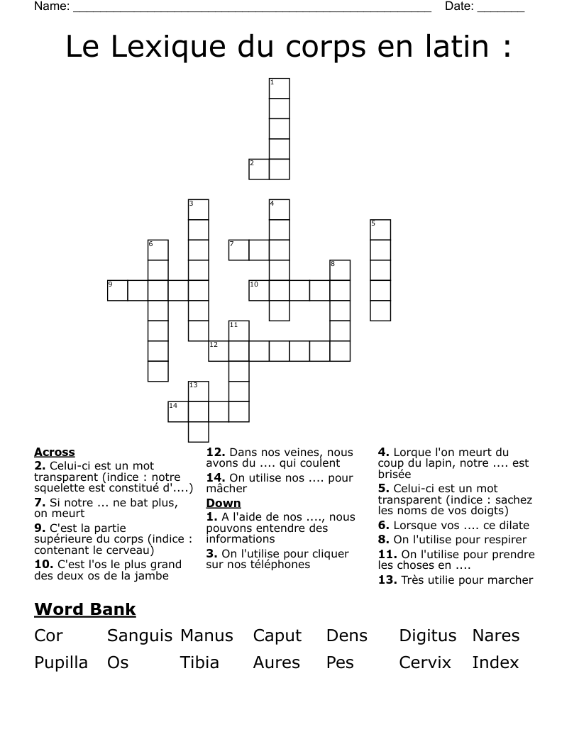 Le Lexique du corps en latin :  Crossword