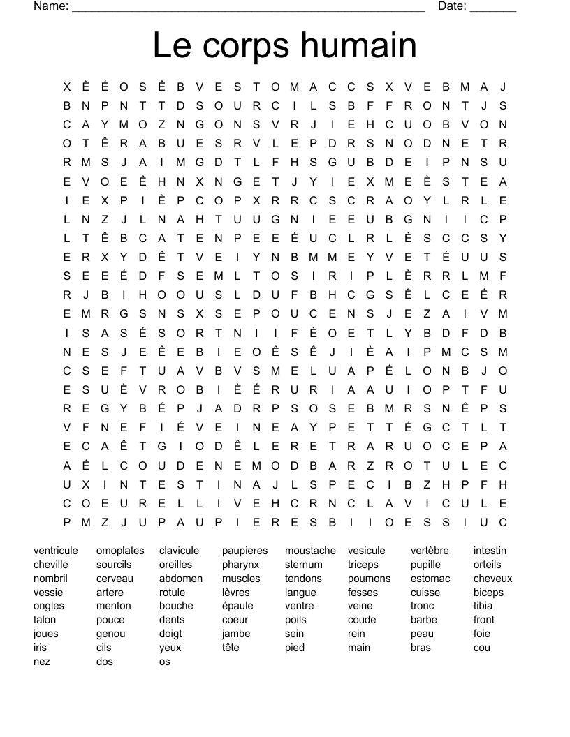Le corps humain Word Search