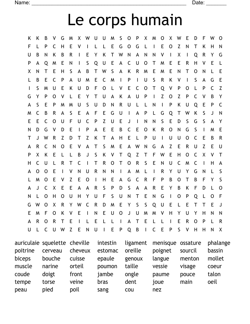 Le corps humain Word Search