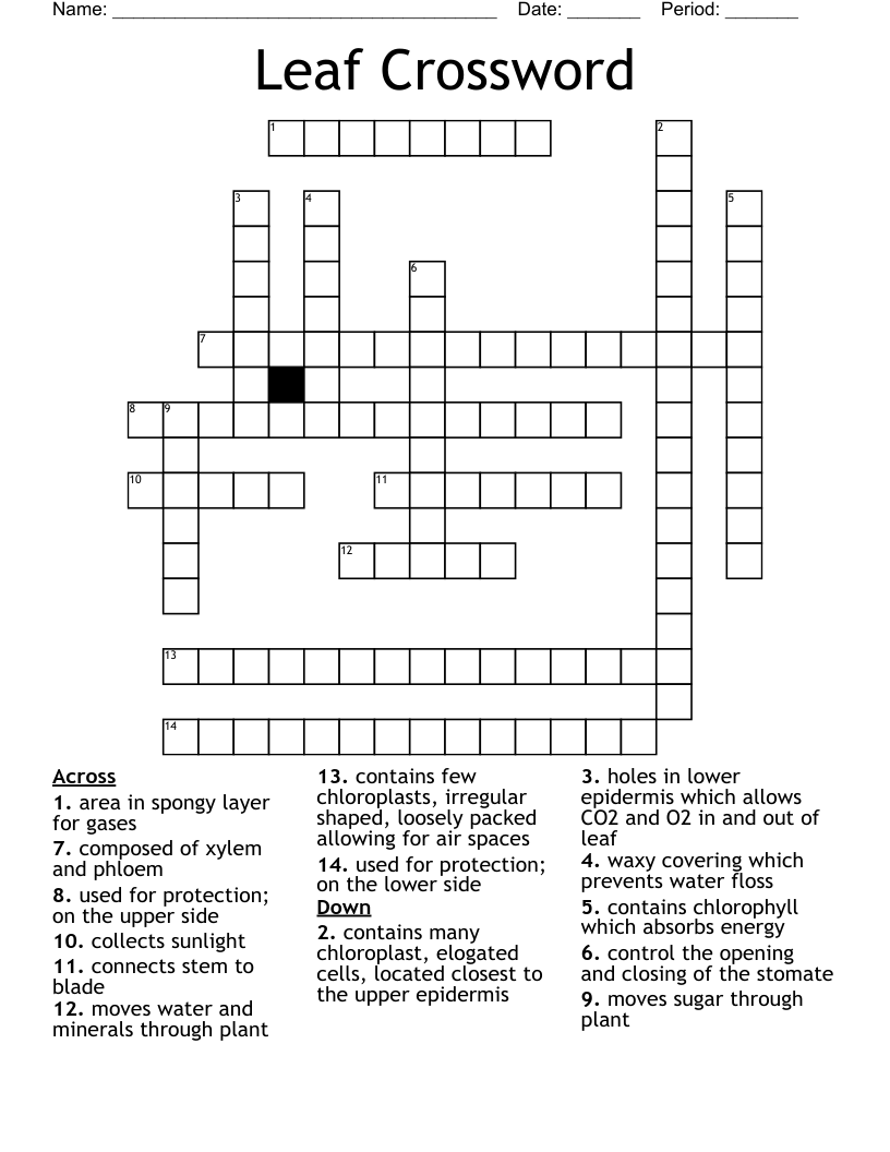 Leaf Crossword