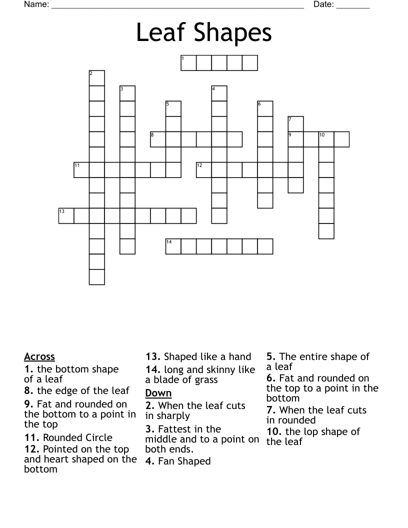 Leaf Shapes Crossword