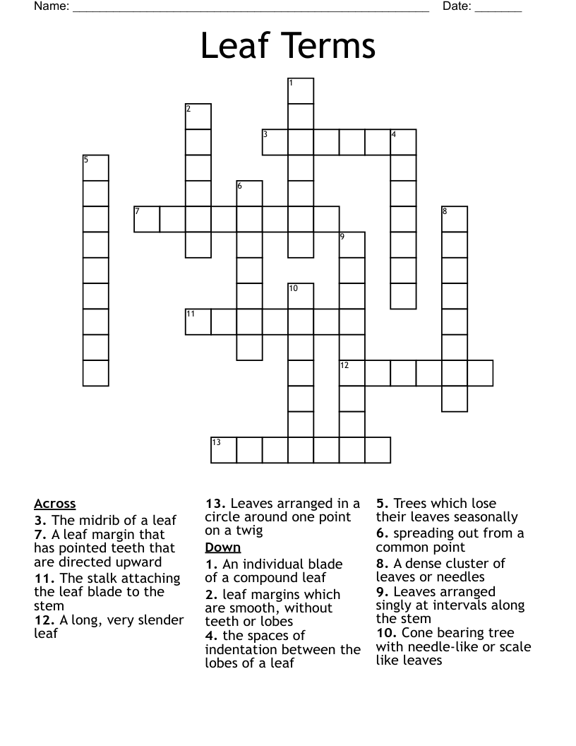 Leaf Terms Crossword