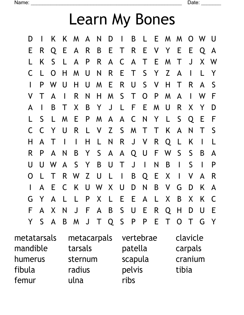 Learn My Bones Word Search