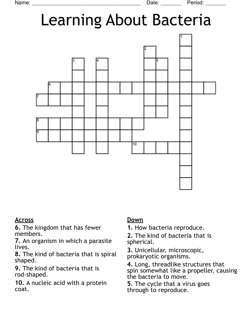 Learning About Bacteria Crossword