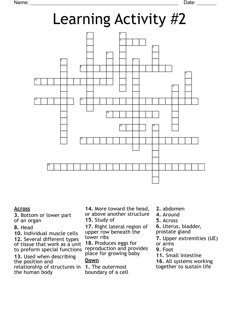 Learning Activity #2 Crossword