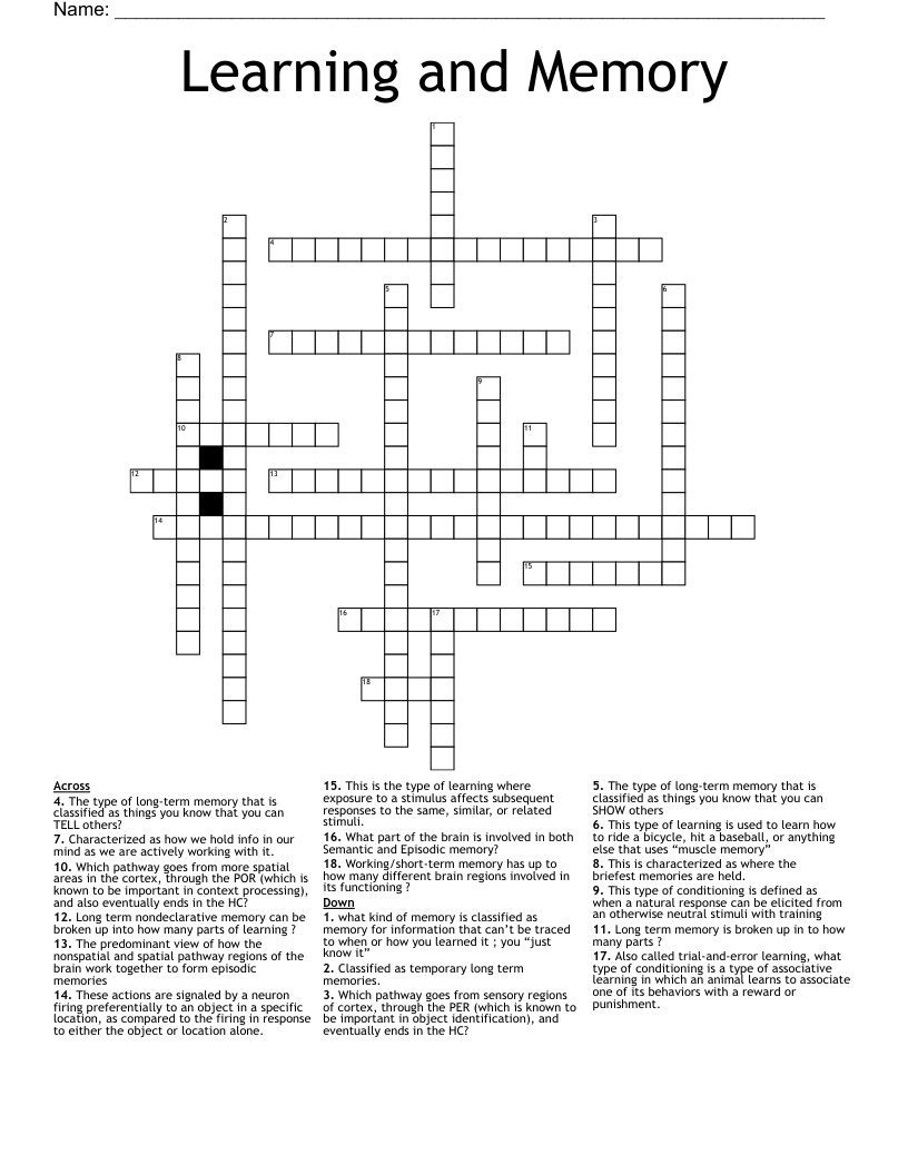 Learning and Memory  Crossword