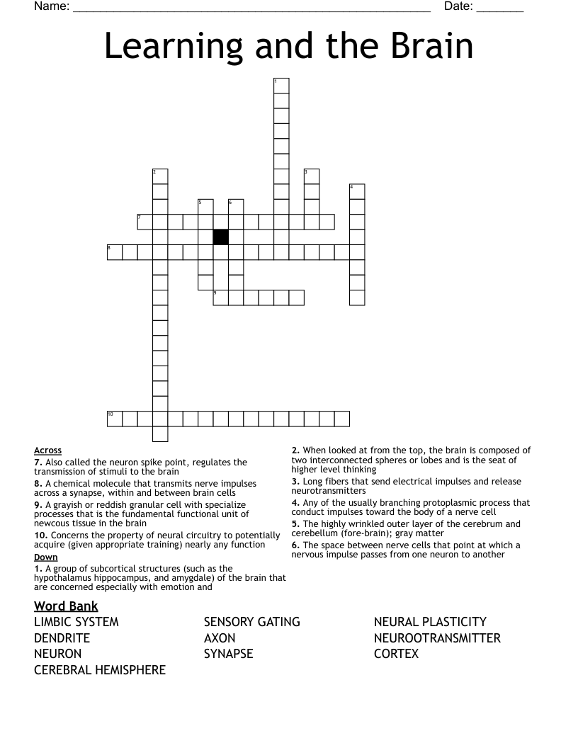 Learning and the Brain  Crossword