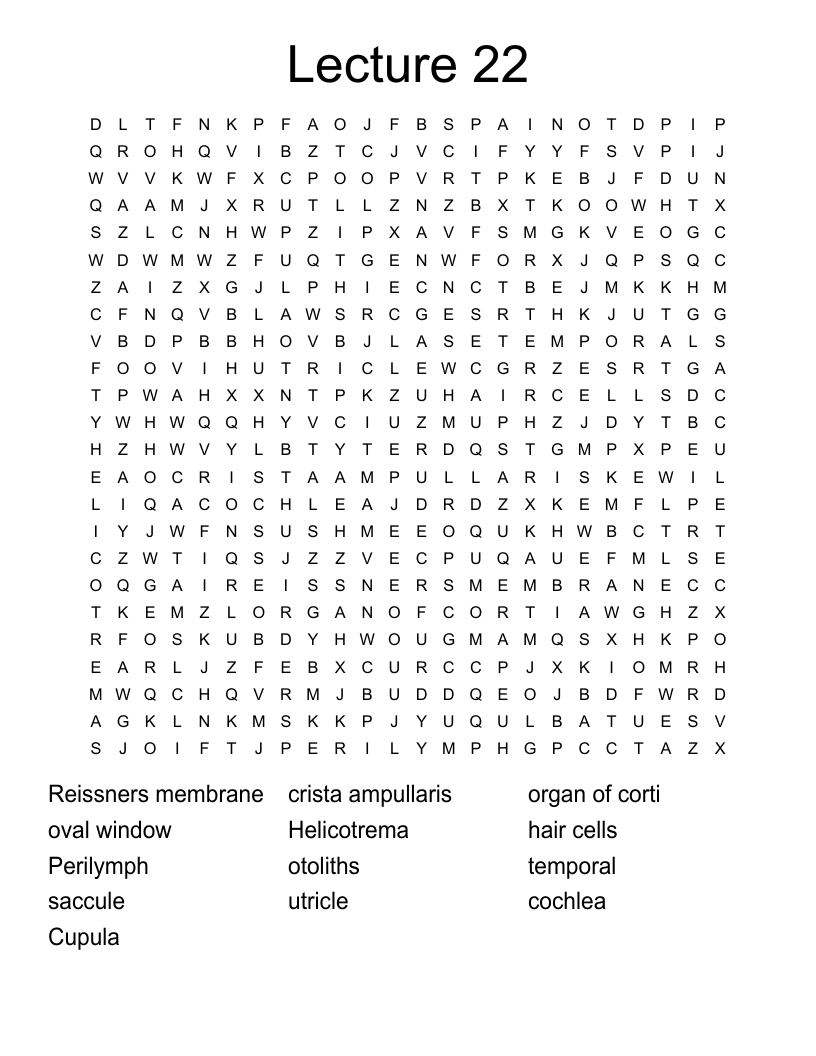 Lecture 22 Word Search
