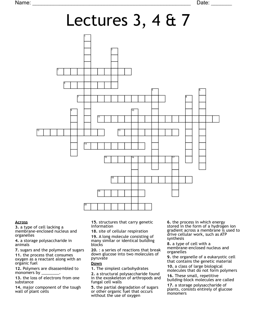 Lectures 3, 4 & 7 Crossword
