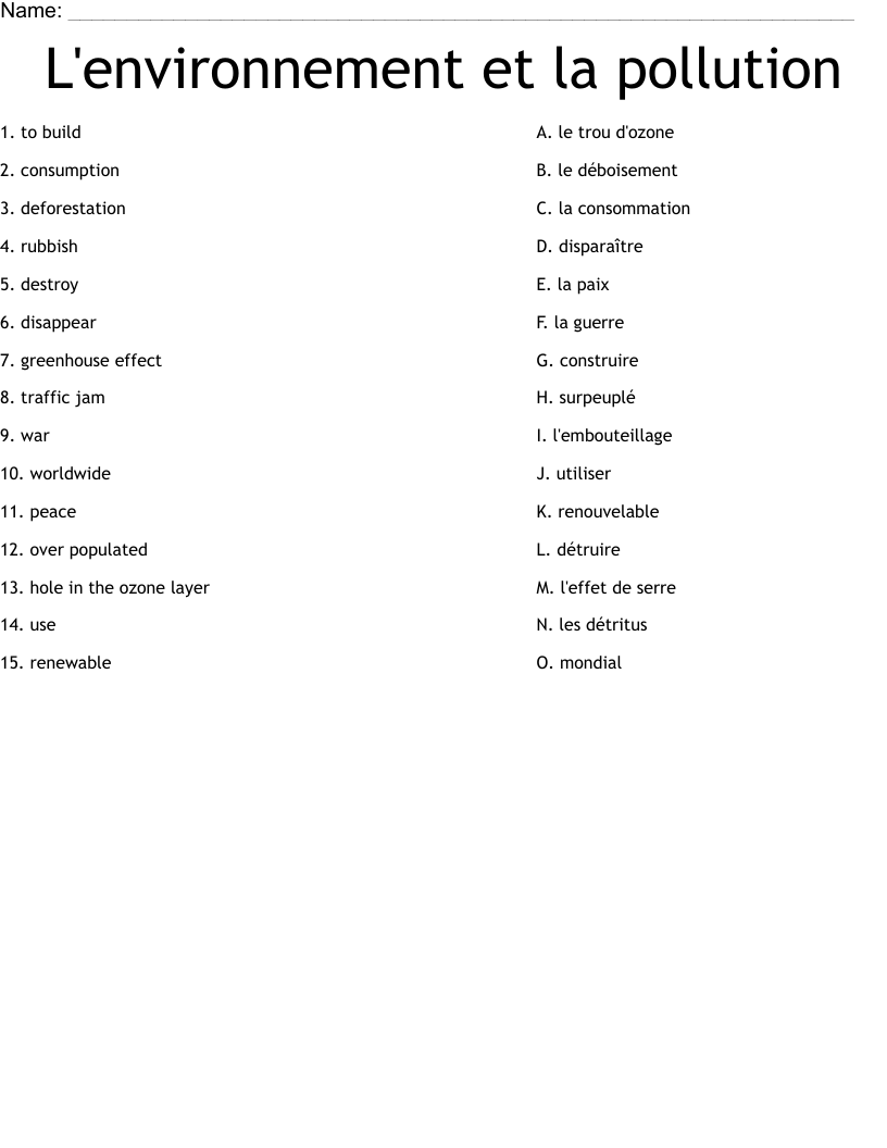 L'environnement et la pollution Worksheet