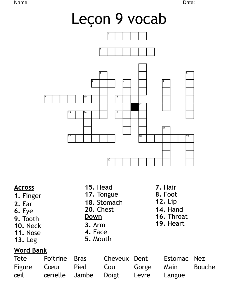 Leçon 9 vocab Crossword
