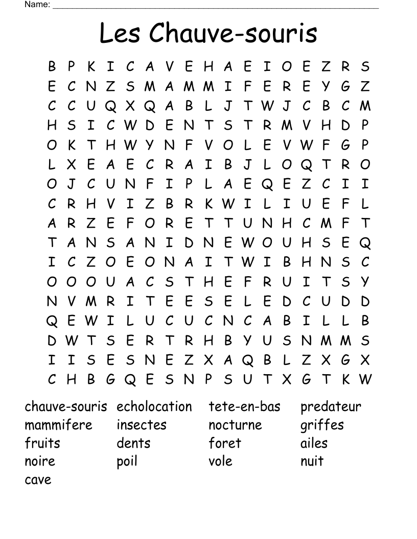 Les Chauve-souris Word Search