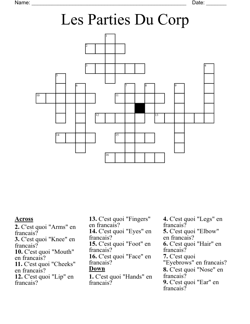 Les Parties Du Corp Crossword
