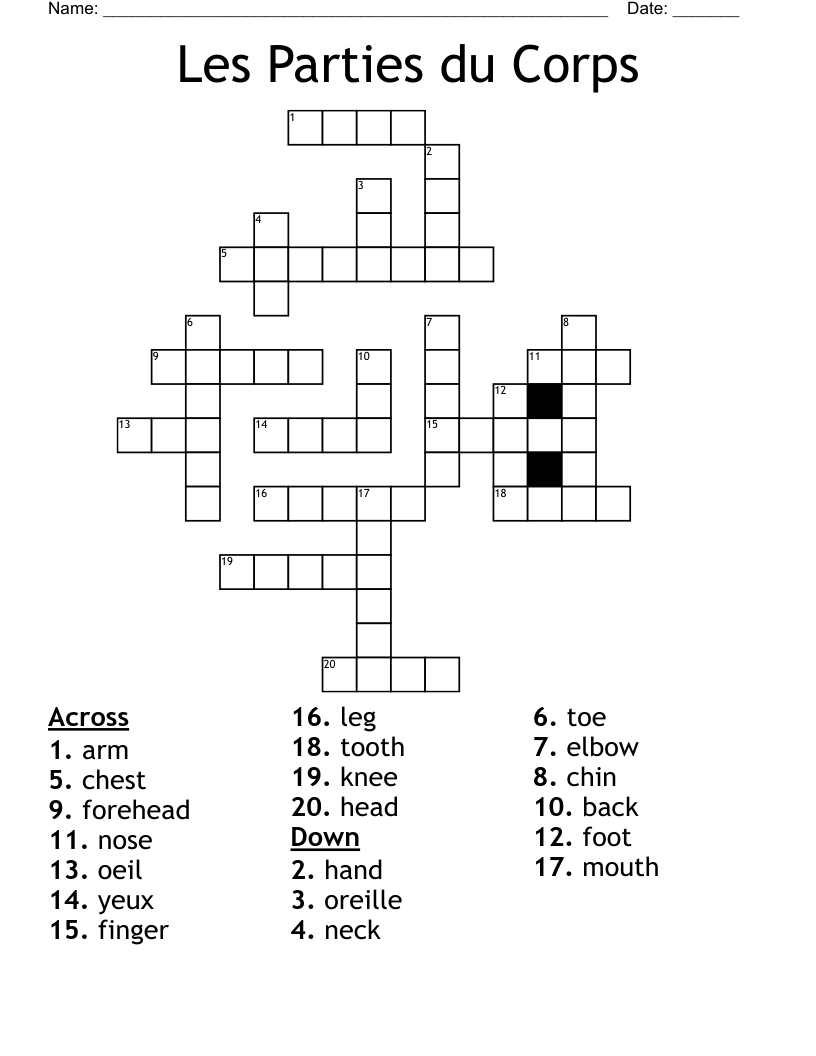 Les Parties du Corps Crossword