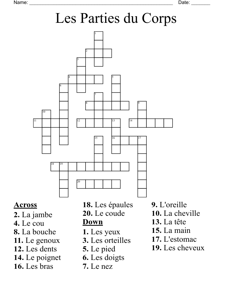 Les Parties du Corps  Crossword