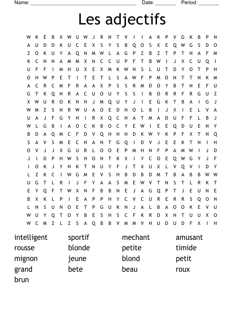 Les adjectifs Word Search