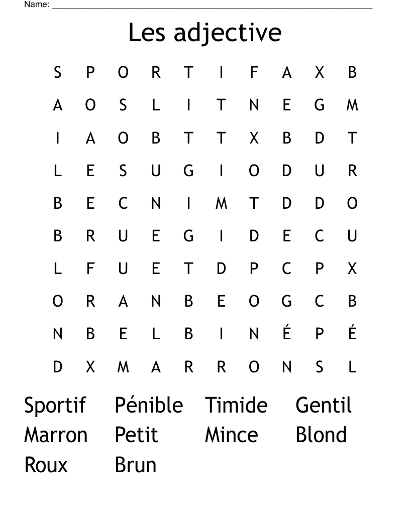 Les adjective  Word Search