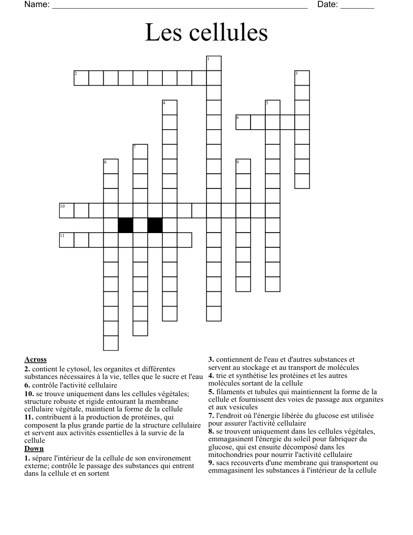 Les cellules Crossword