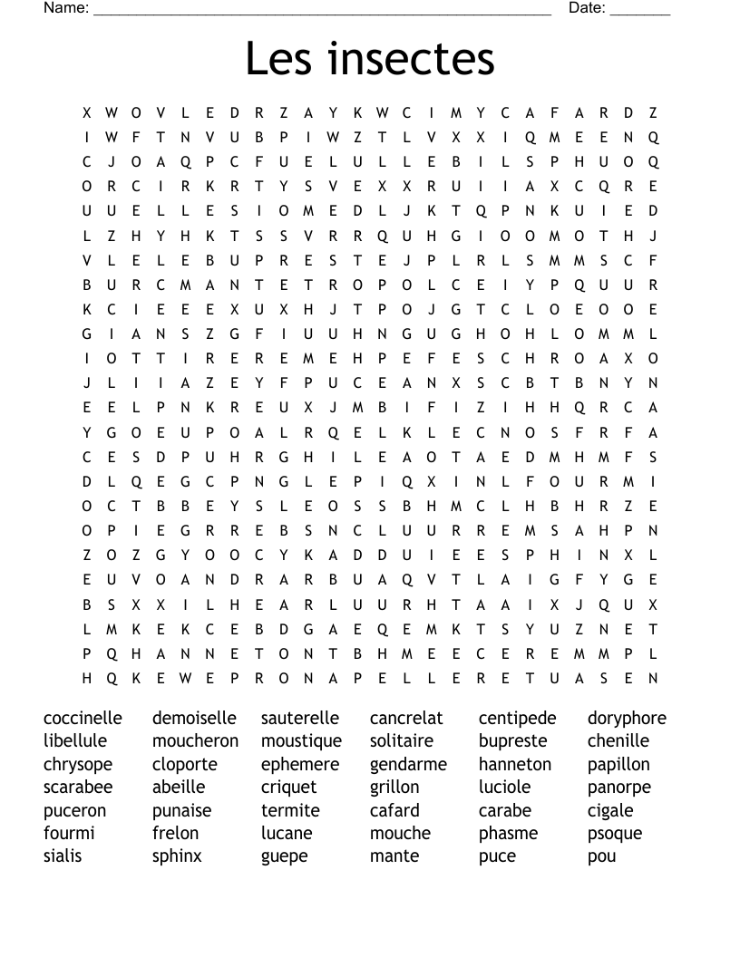 Les insectes Word Search