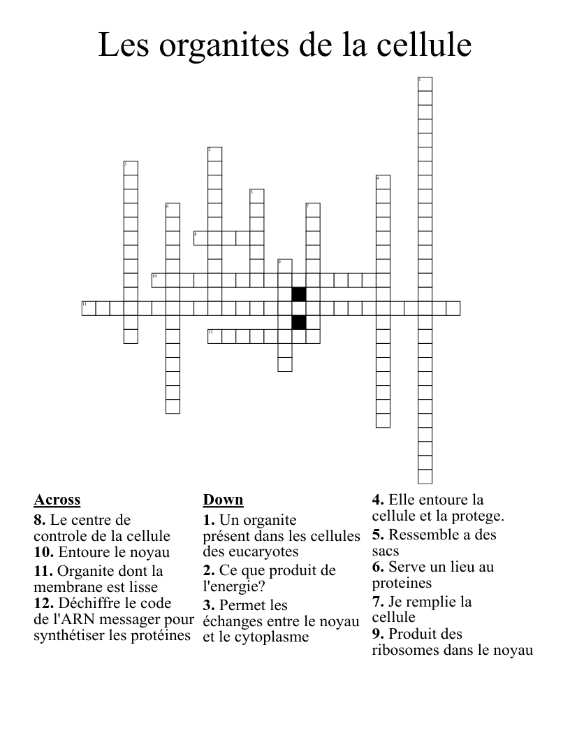 Les organites de la cellule  Crossword