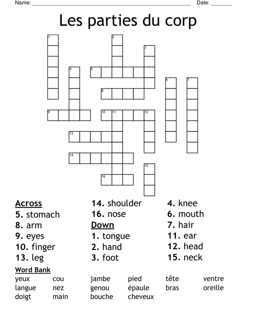 Les parties du corp Crossword