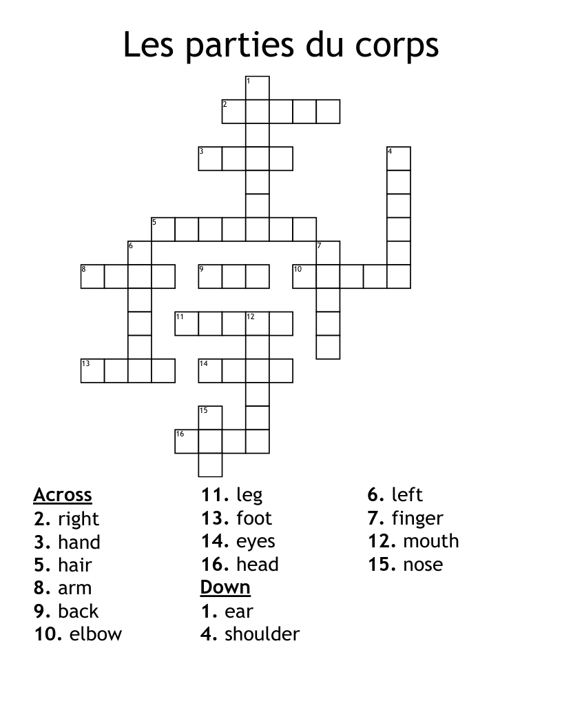 Les parties du corps Crossword