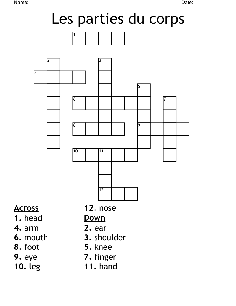Les parties du corps Crossword