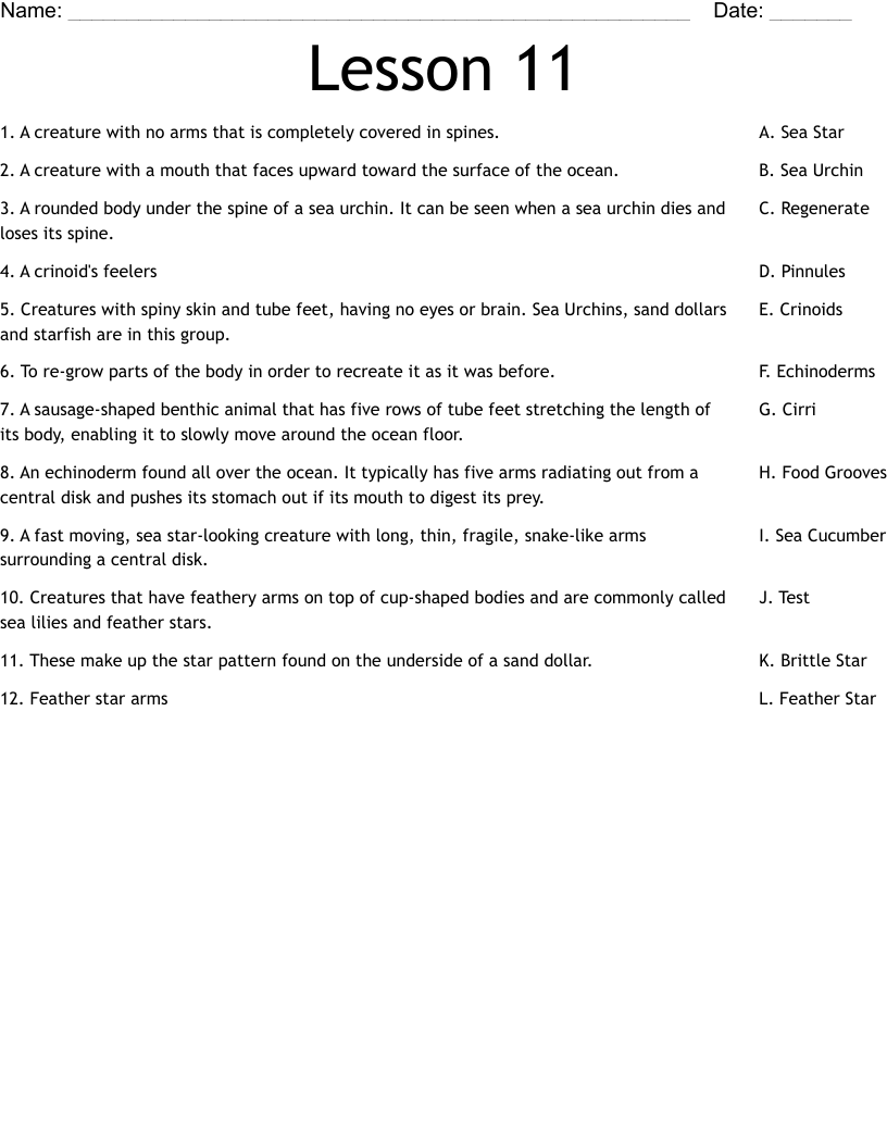 Lesson 11 Worksheet