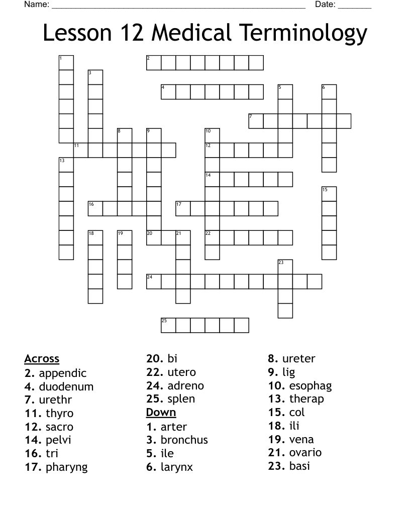 Lesson 12 Medical Terminology Crossword