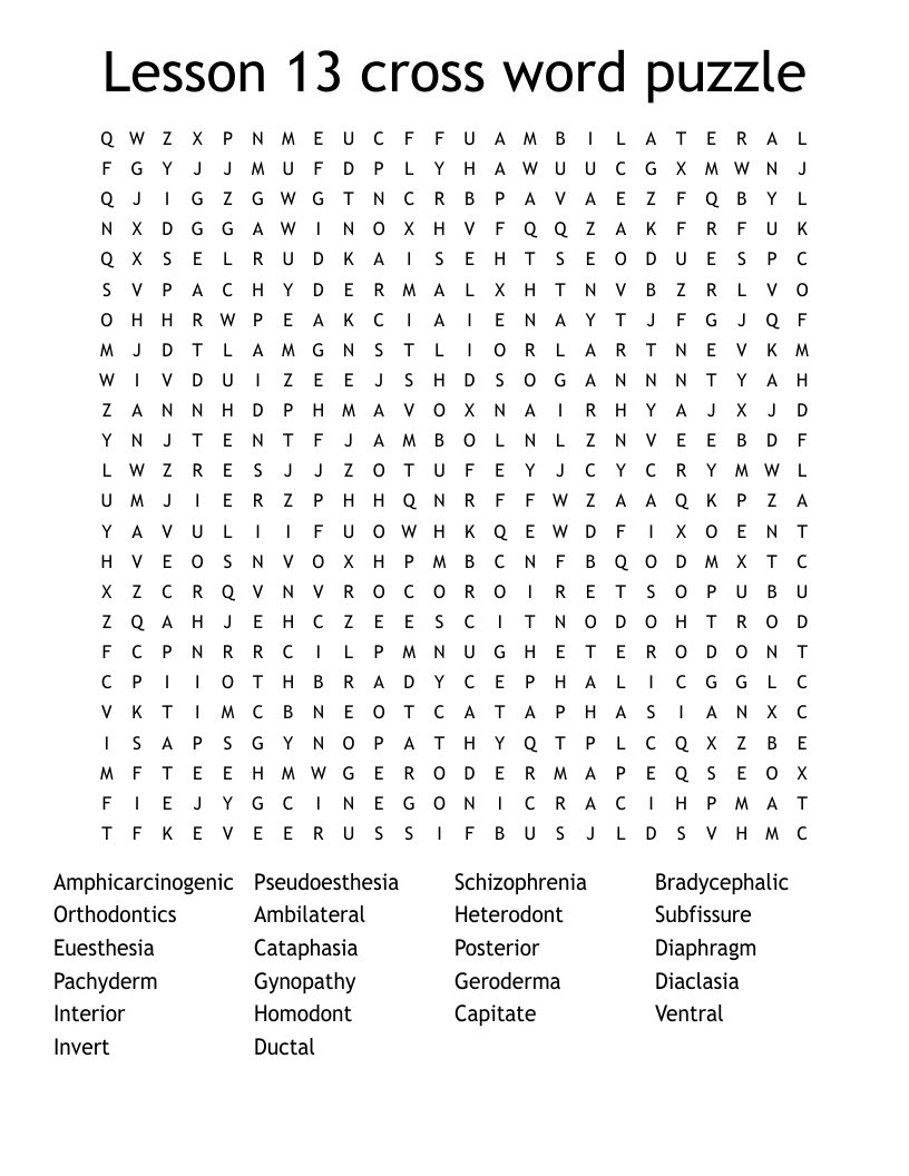 Lesson 13 cross word puzzle  Word Search