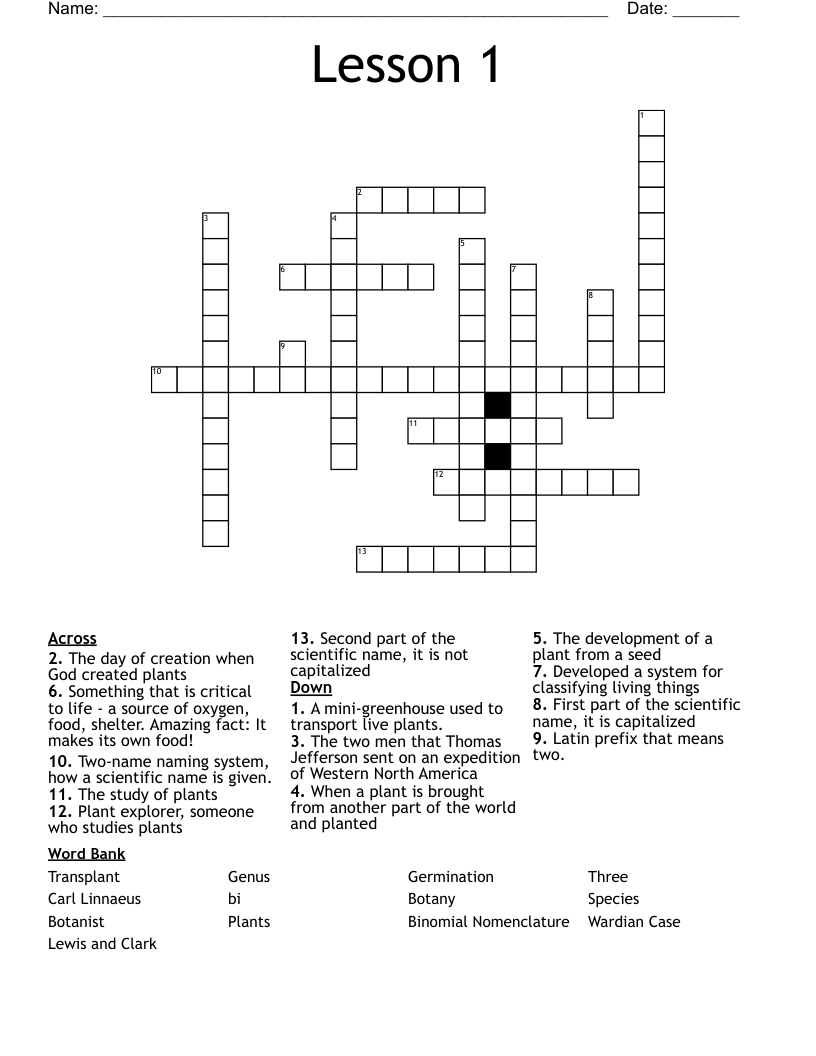Lesson 1 Crossword