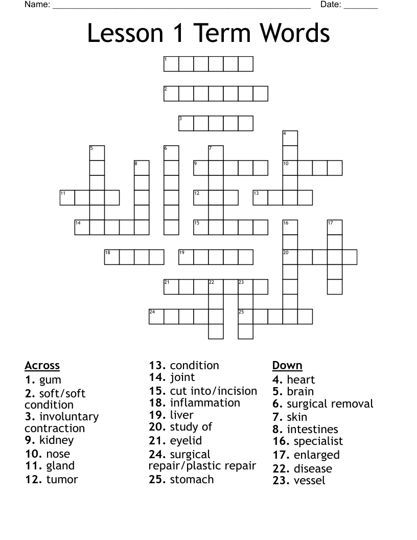 Lesson 1 Term Words  Crossword