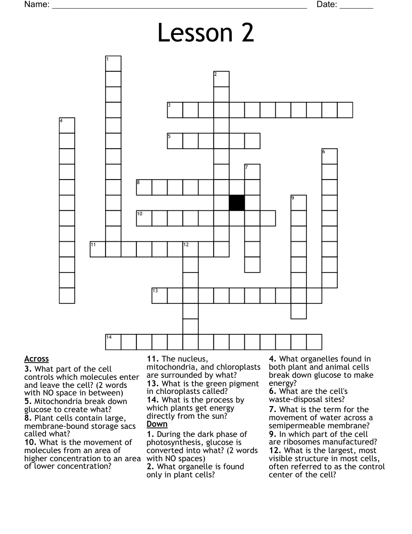 Lesson 2 Crossword