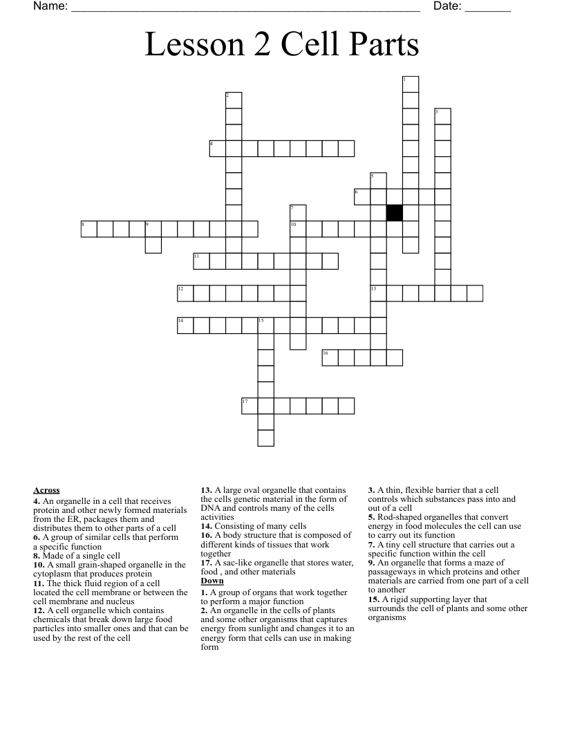 Lesson 2 Cell Parts Crossword