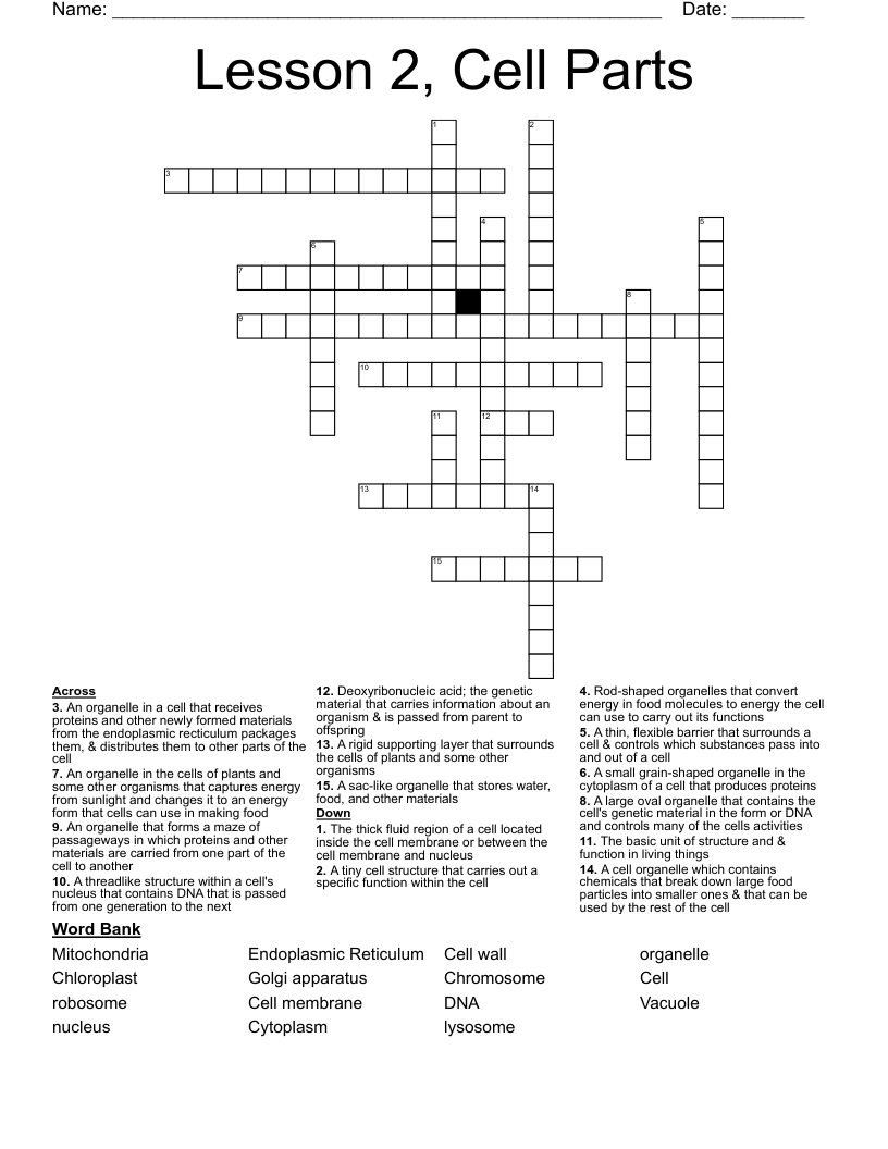Lesson 2, Cell Parts Crossword