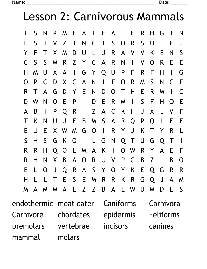 Lesson 2:  Carnivorous Mammals Word Search