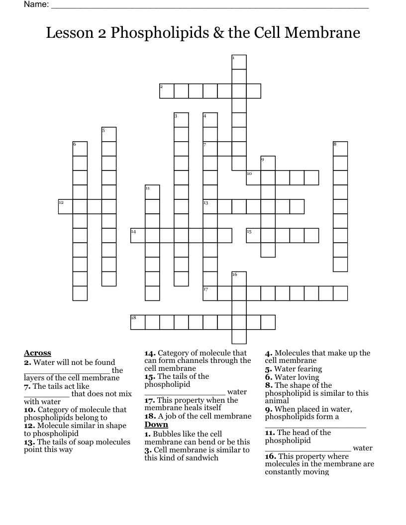 Lesson 2  Phospholipids & the Cell Membrane  Crossword