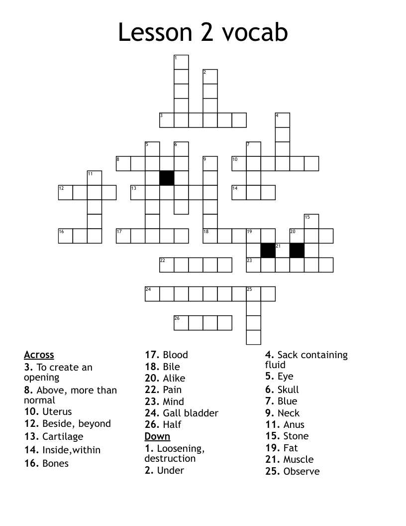 Lesson 2 vocab  Crossword