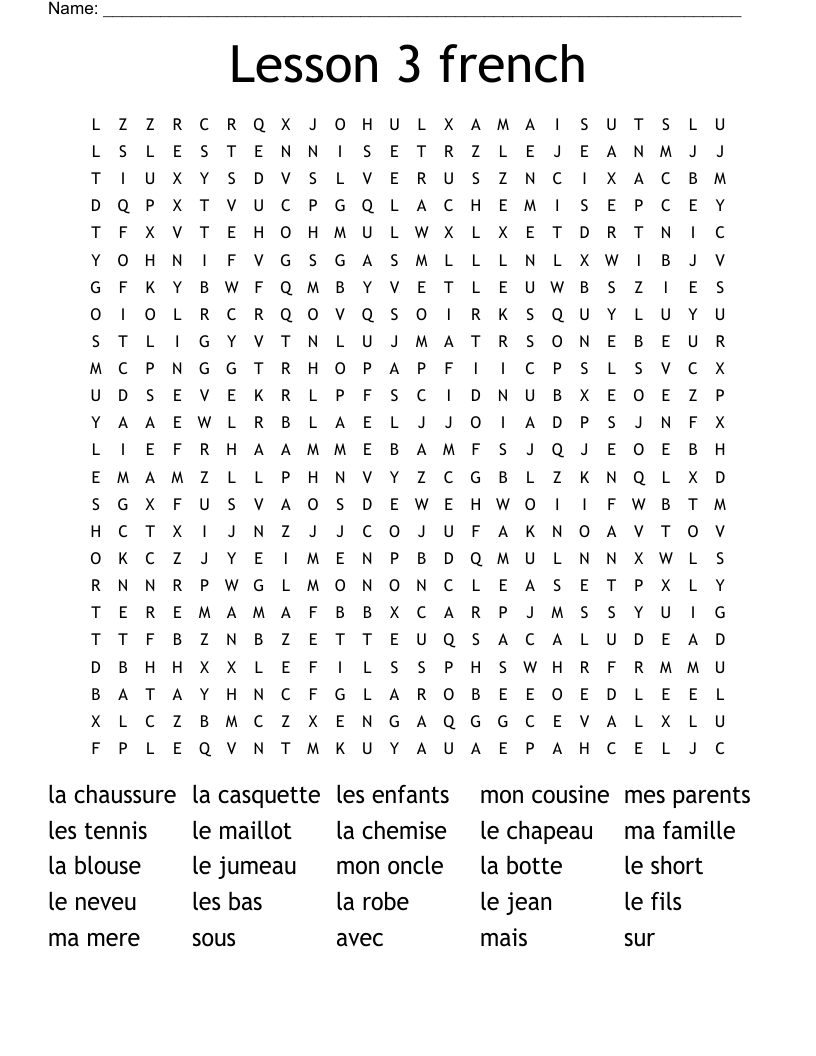 Lesson 3 french Word Search