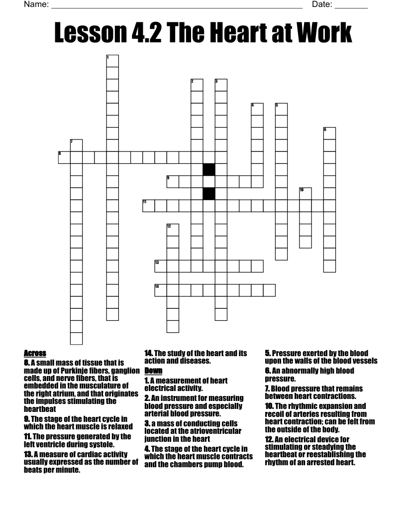 Lesson 4.2 The Heart at Work  Crossword