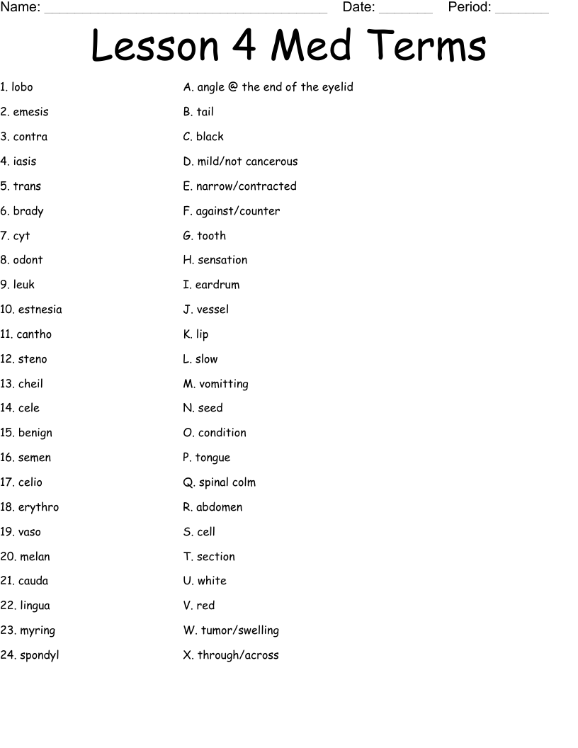 Lesson 4 Med Terms Worksheet