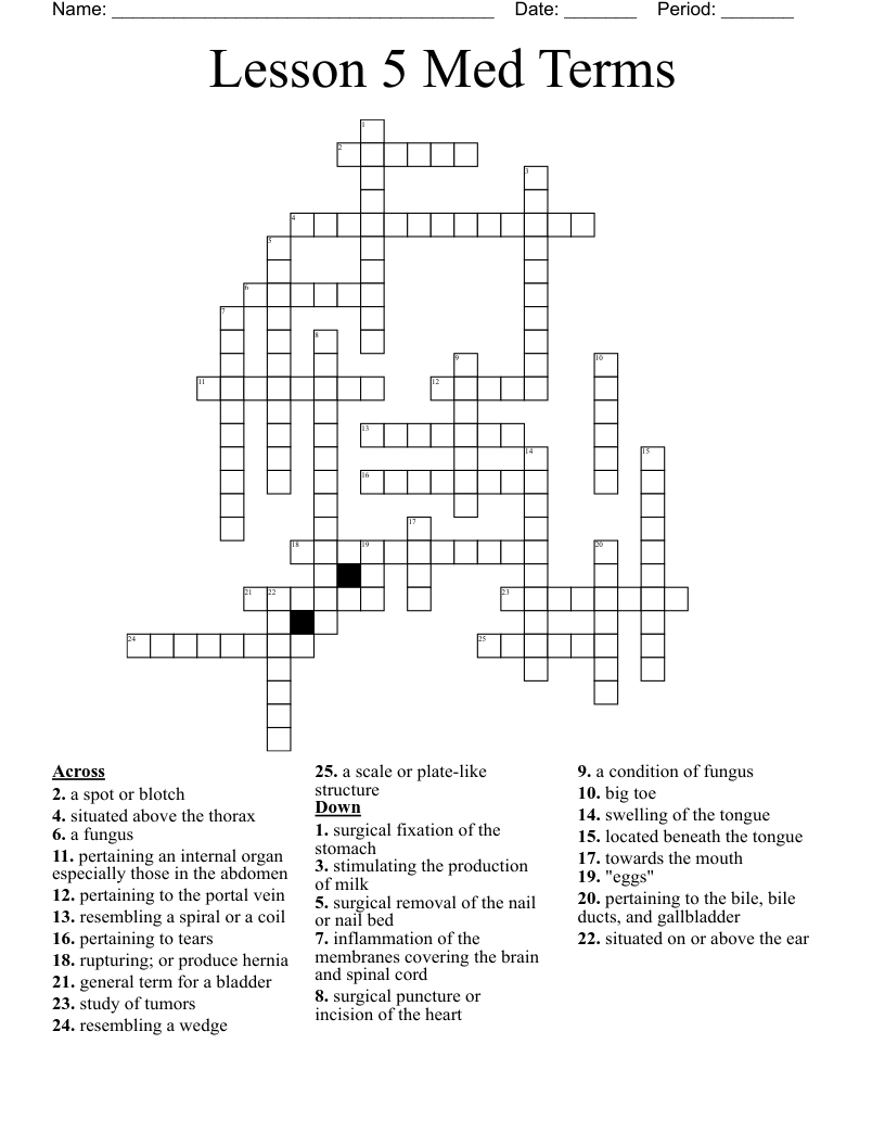 Lesson 5 Med Terms  Crossword