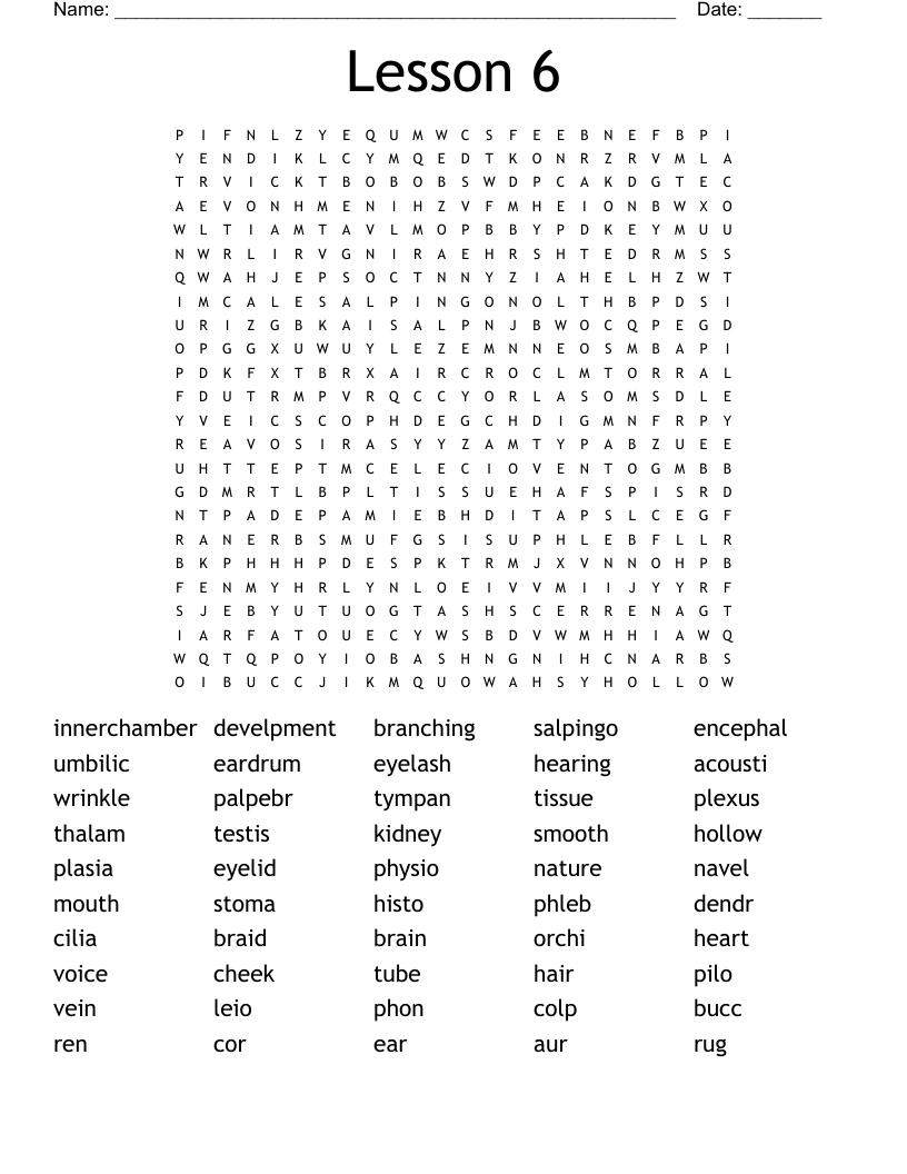Lesson 6 Word Search