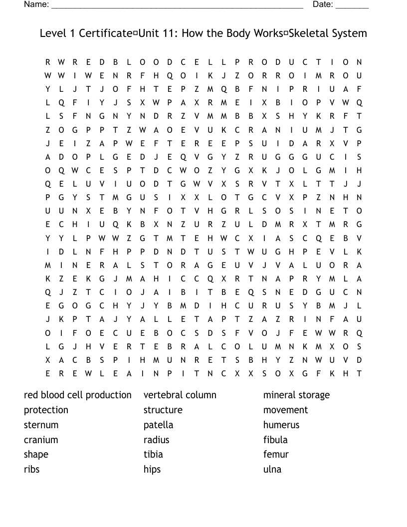 Level 1 CertificateUnit 11: How the Body WorksSkeletal System Word Search