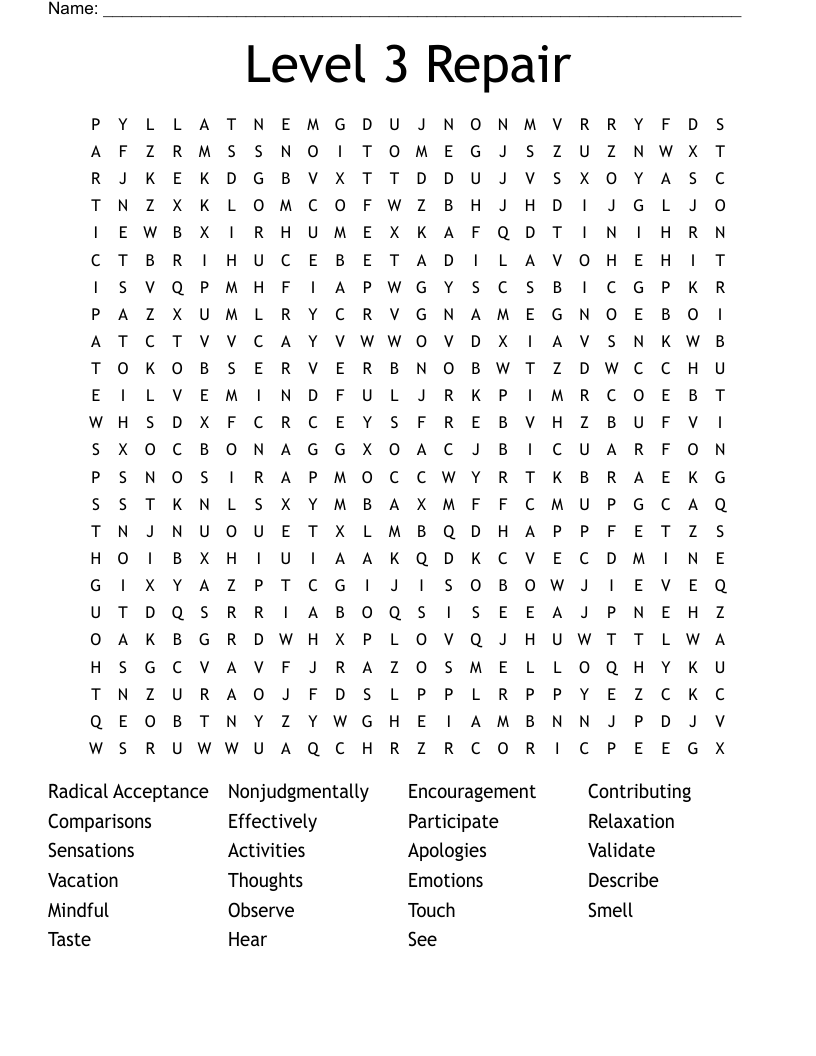 Level 3 Repair  Word Search
