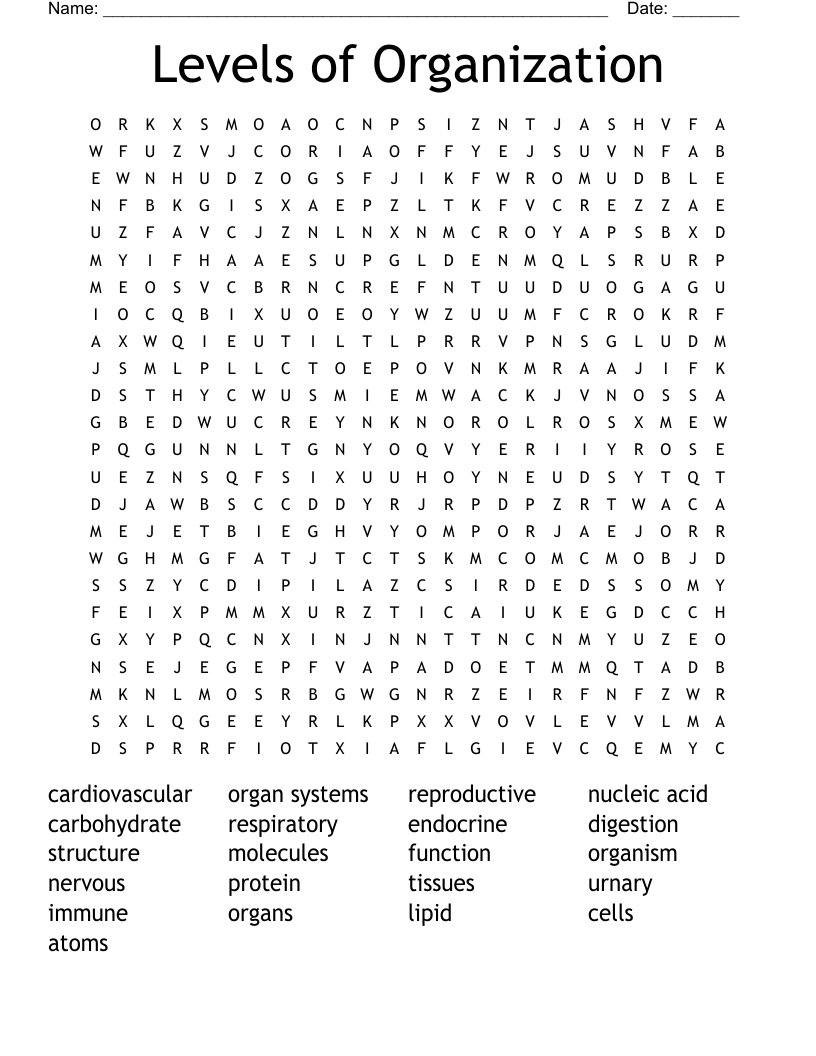 Levels of Organization Word Search