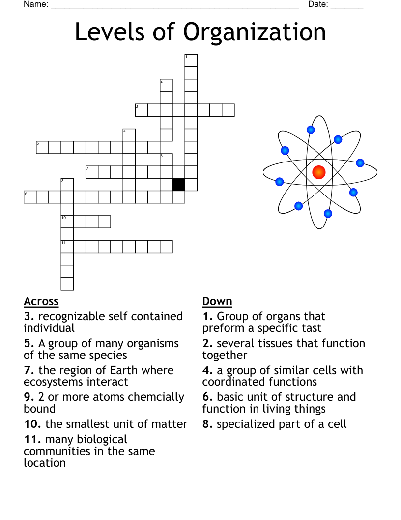 Levels of Organization Crossword