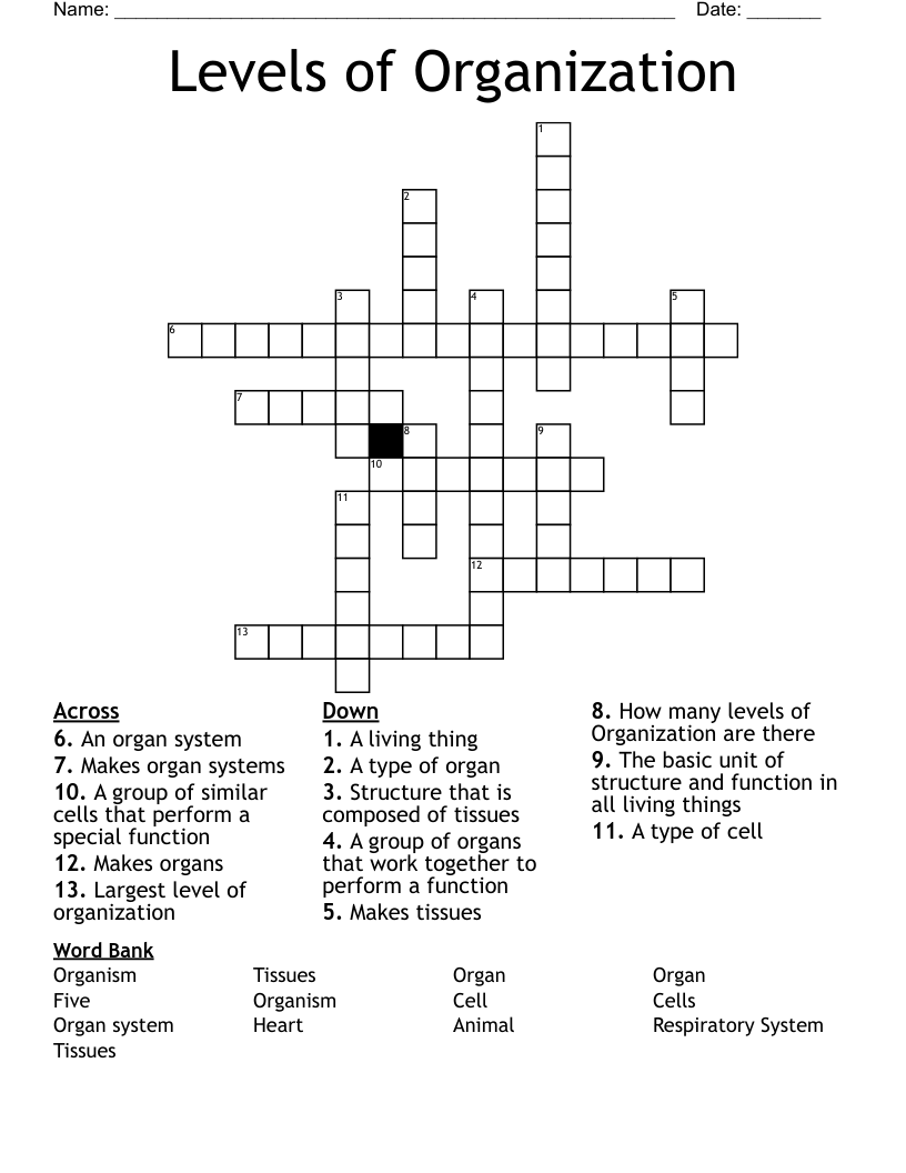 Levels of Organization Crossword