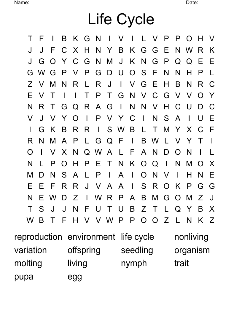Life Cycle Word Search