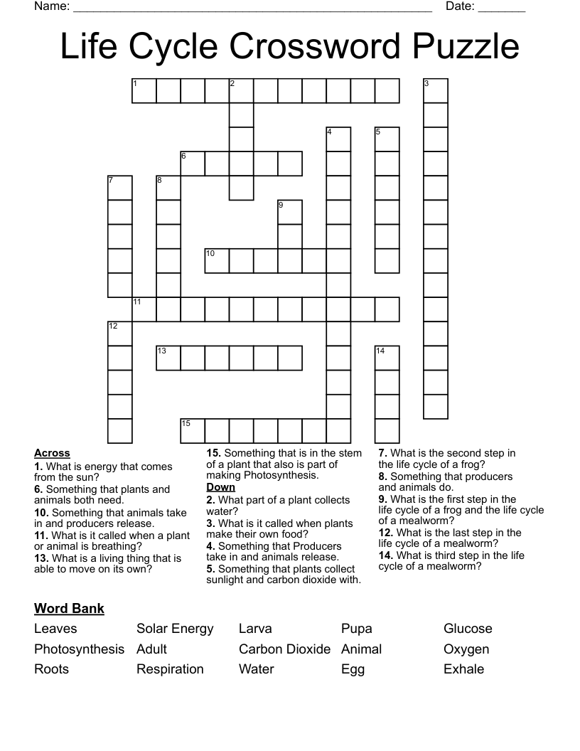 Life Cycle Crossword Puzzle